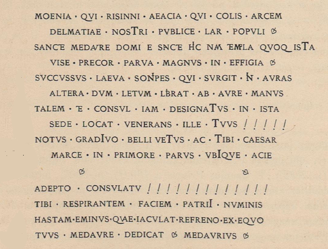 ANATOMIA E MBISHKRIMIT TË MEDAURËVE